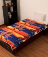 Bed Reversible Blanket